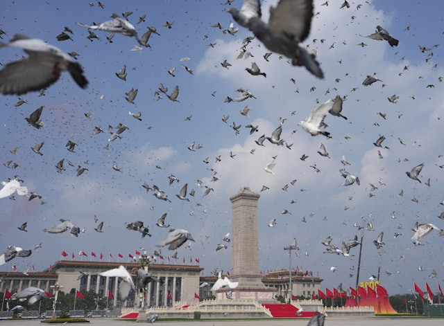 拚图)中国阅兵释放8万和平鸽 专家:归巢靠地磁或太阳定位