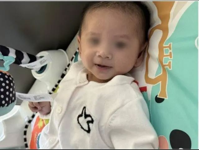 拚图)出生237天化作大体老师 父母：给其他孩子留希望