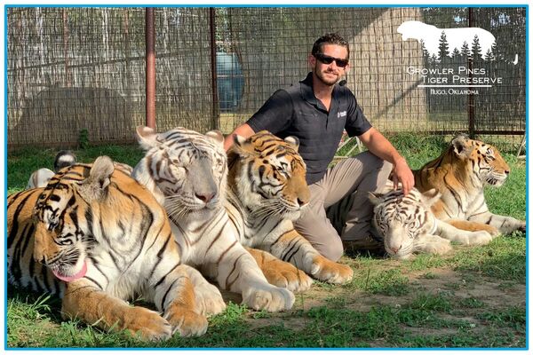 拼盘  ​老虎表演发狂 驯兽师魂断妻小前