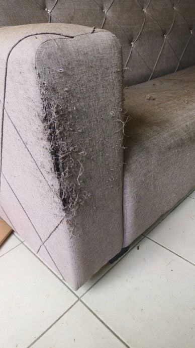 控“地狱租客”不交租不搬走 房东:他还报警反咬一口!