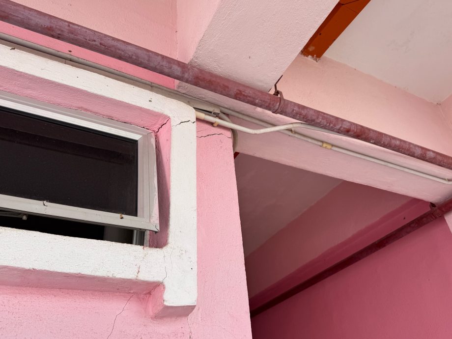 星期天头条(内页主文二):昔加末地震:有人忧心有人放心