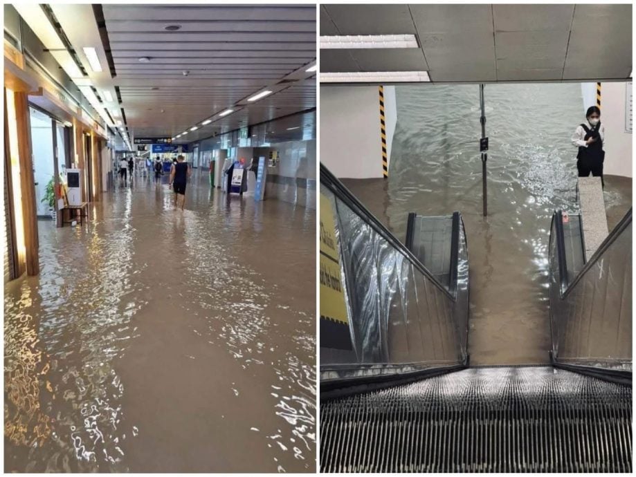 曼谷淹水真相揭晓 大蟒蛇困死致水泵停转