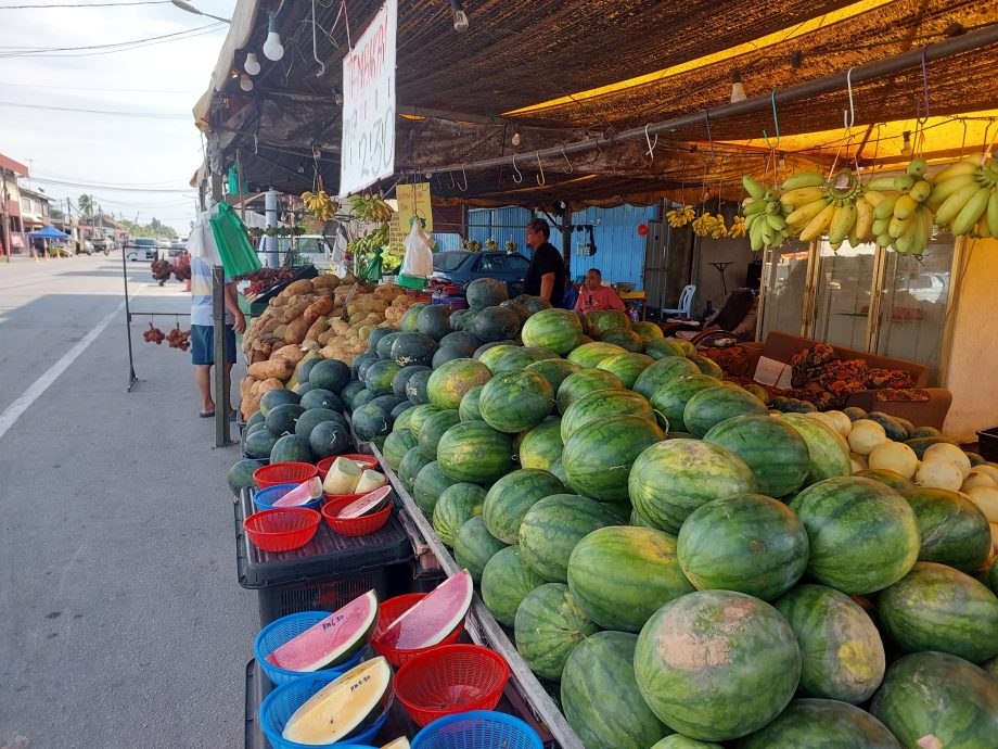 村镇记事2（大北马）扁担走出来的新路小镇  依旧有活力  靠马来村民支撑
