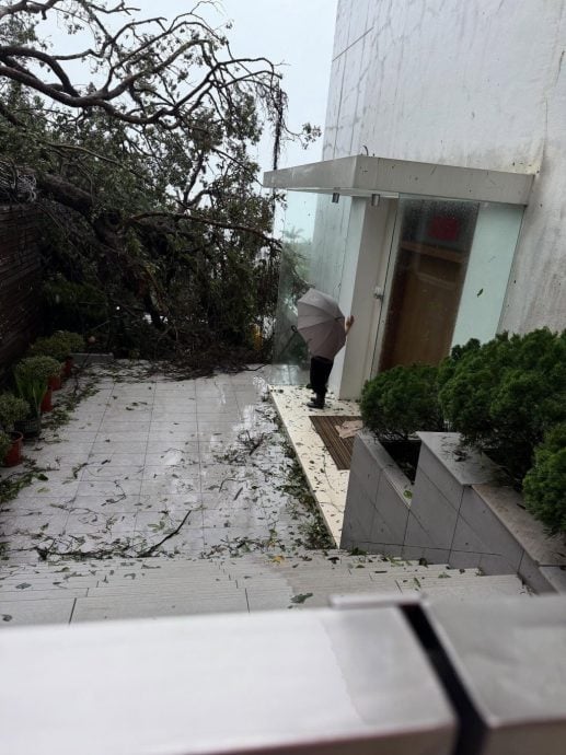 桦加沙|豪宅遭大树横插出入通道 汪明荃出动消防救灾