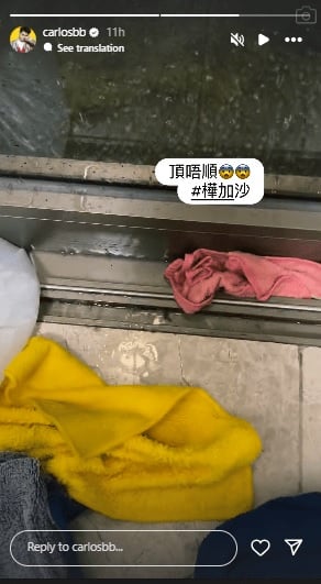 桦加沙|豪宅遭大树横插出入通道 汪明荃出动消防救灾