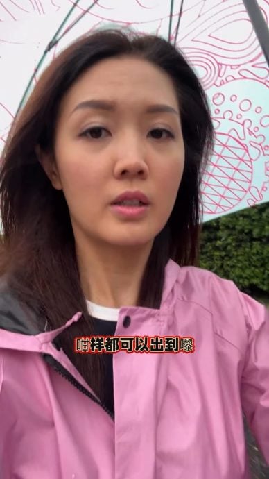 桦加沙|豪宅遭大树横插出入通道 汪明荃出动消防救灾