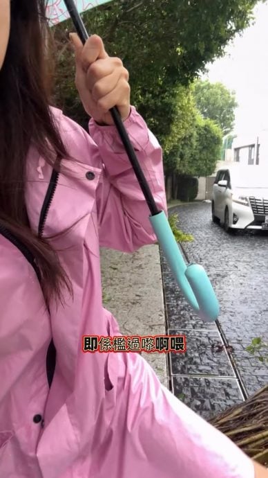 桦加沙|豪宅遭大树横插出入通道 汪明荃出动消防救灾