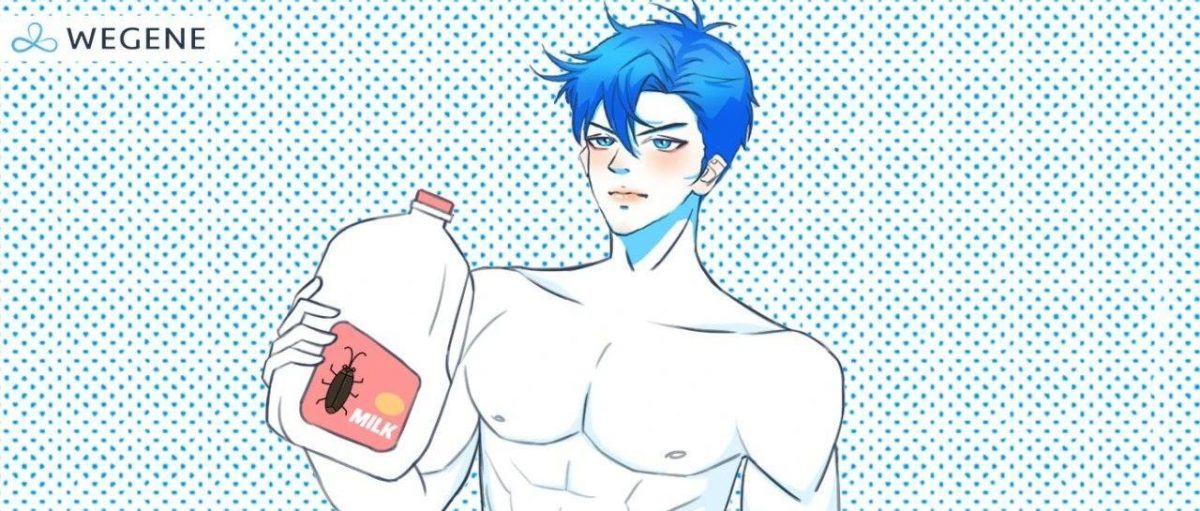 比牛奶营养高三倍 “蟑螂奶”你敢喝吗?