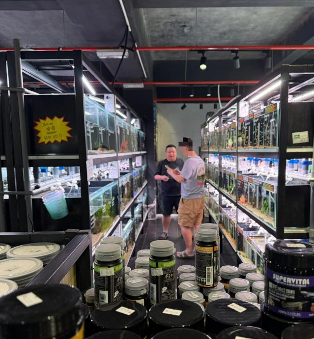  水族店RM1600误收RM1.6？ 顾客主动“认错”上门结清 业者感动：诚实与正直依然存在！