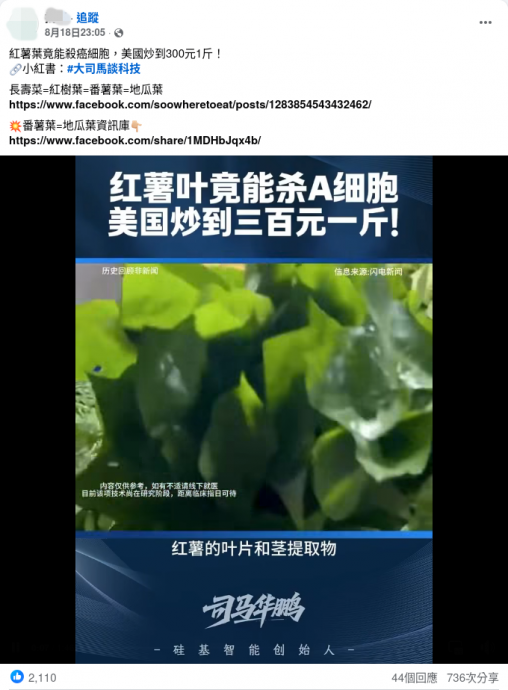 求真:红薯叶可抗癌/1图