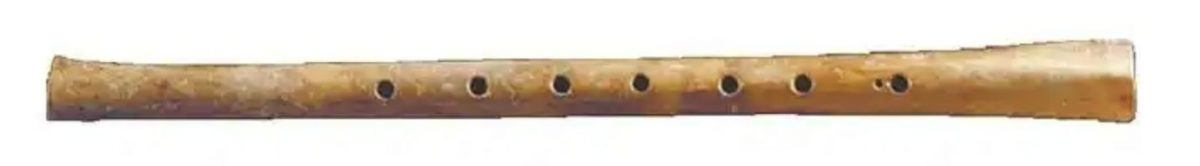 河南发现中国最早木棺　距今8000多年随葬骨笛同现世