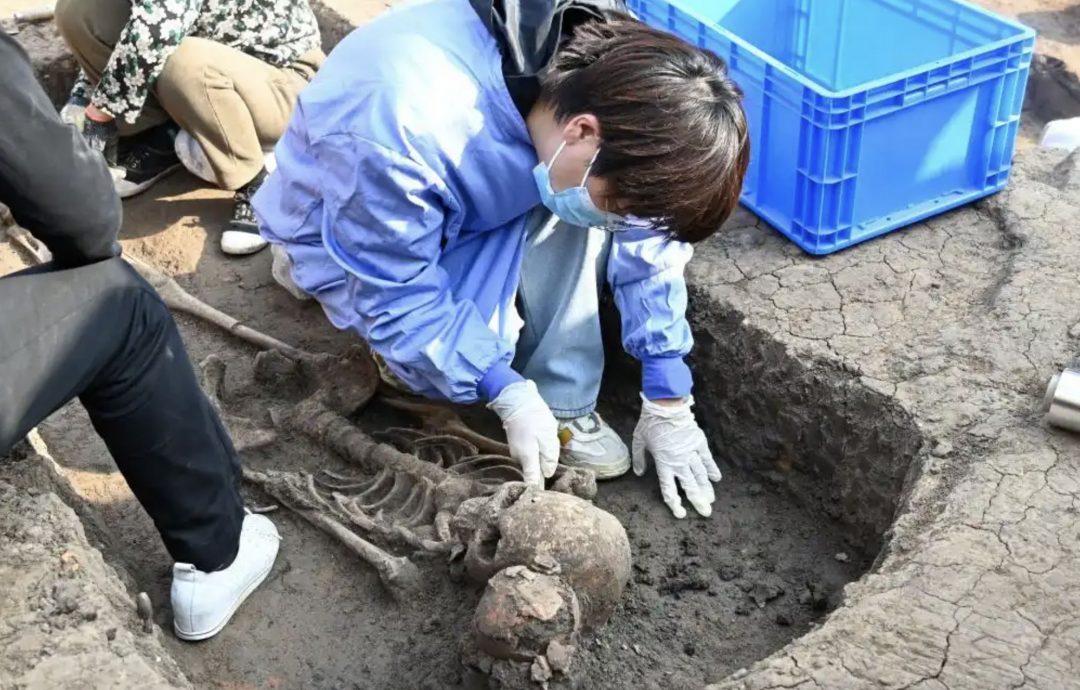 河南发现中国最早木棺　距今8000多年随葬骨笛同现世