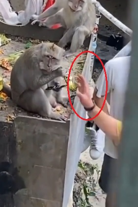 泼猴抢眼镜　黄衣男霸气抢回来