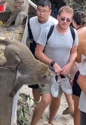 泼猴抢眼镜　黄衣男霸气抢回来