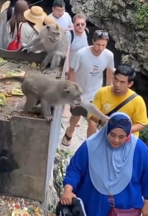 泼猴抢眼镜　黄衣男霸气抢回来