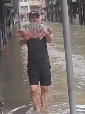 海水涌入内陆 澳门市民上街捉鱼