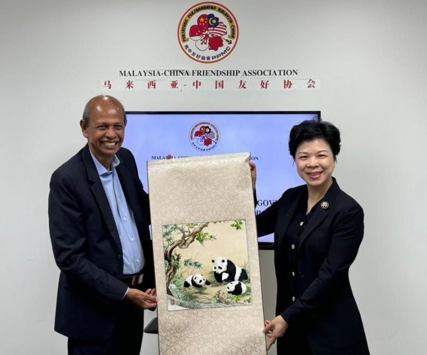 湖南省副省长访问马中友好协会