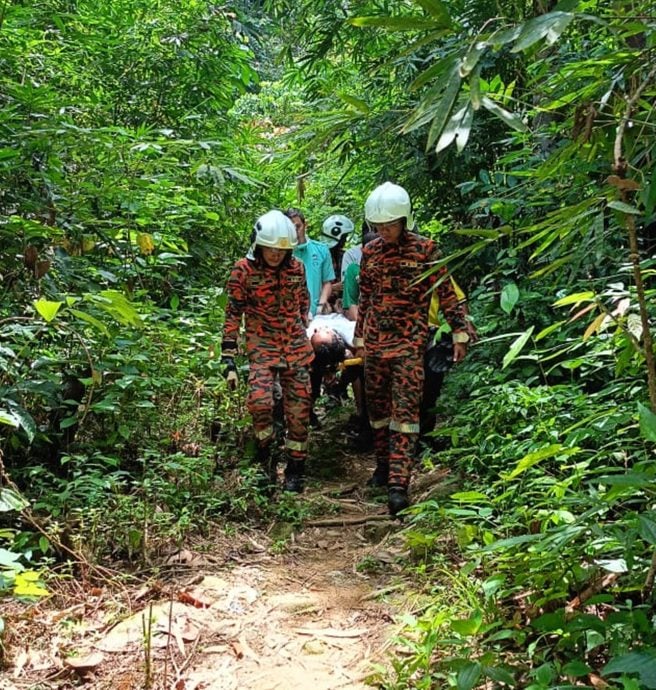 男子采臭豆失足 从30公尺高树上掉下受伤