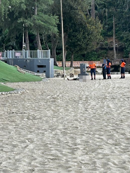 疑心脏病猝死,中年男子晨跑突倒毙直落尖不辣沙滩。