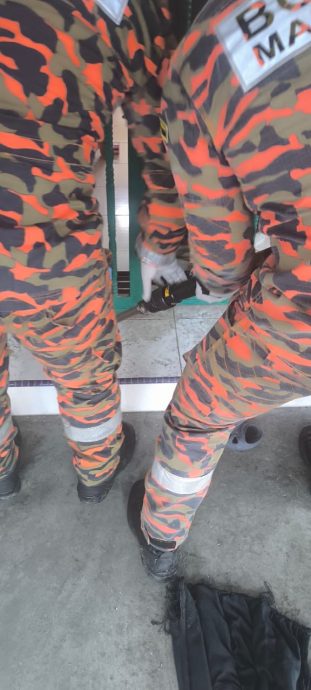 疑长者独居出事 邻居召消拯队揭卧尸家中