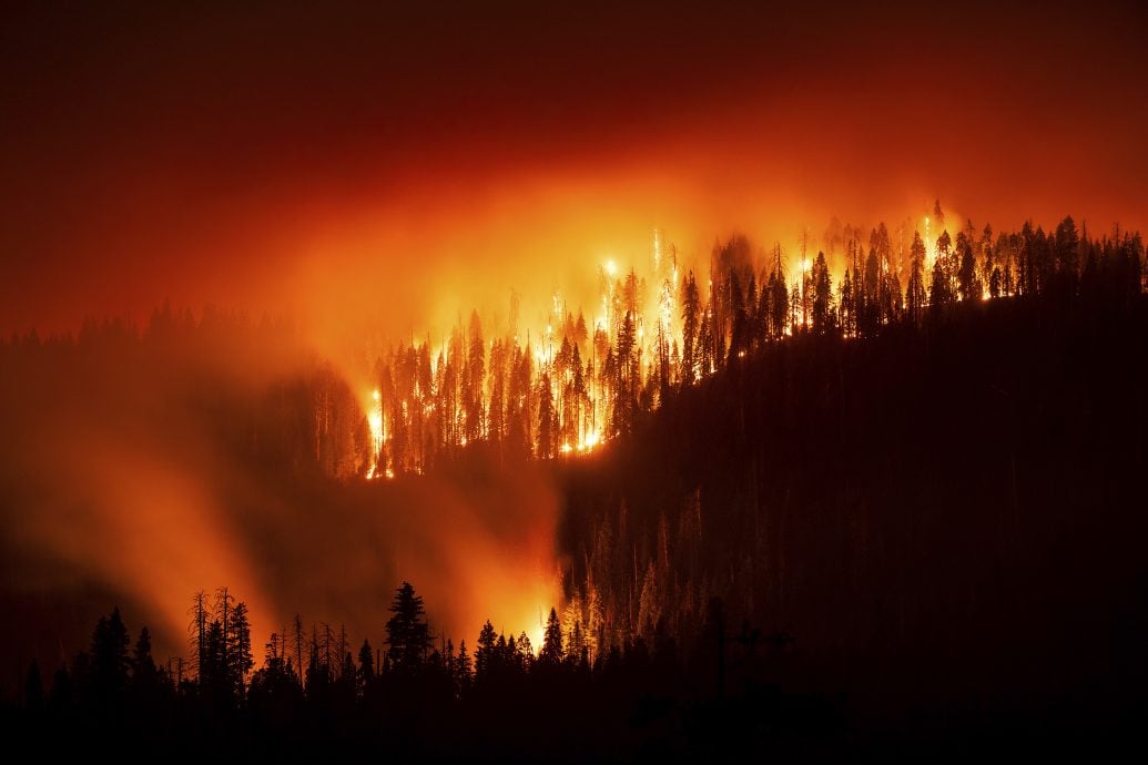 看世界)欧盟:今年8月史上第三热 致命热浪野火肆虐全球