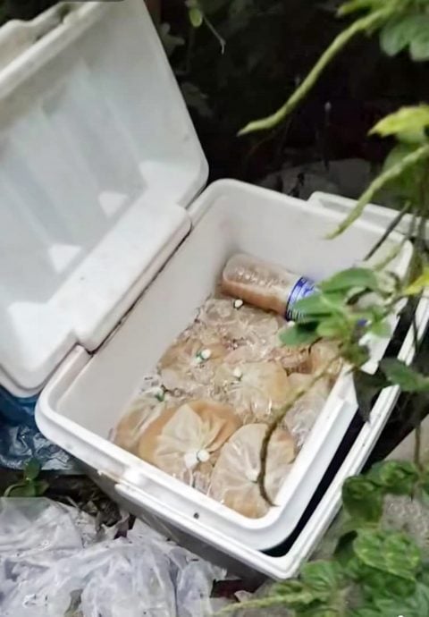 米昔拉警局主任亲自率队突击，2男子卖哥冬水落网。