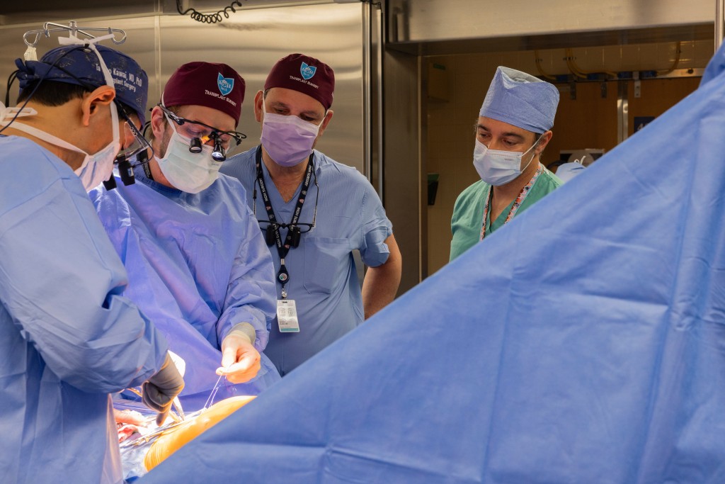 美国患者移植改基因猪肾存活逾6个月突破首个危险期