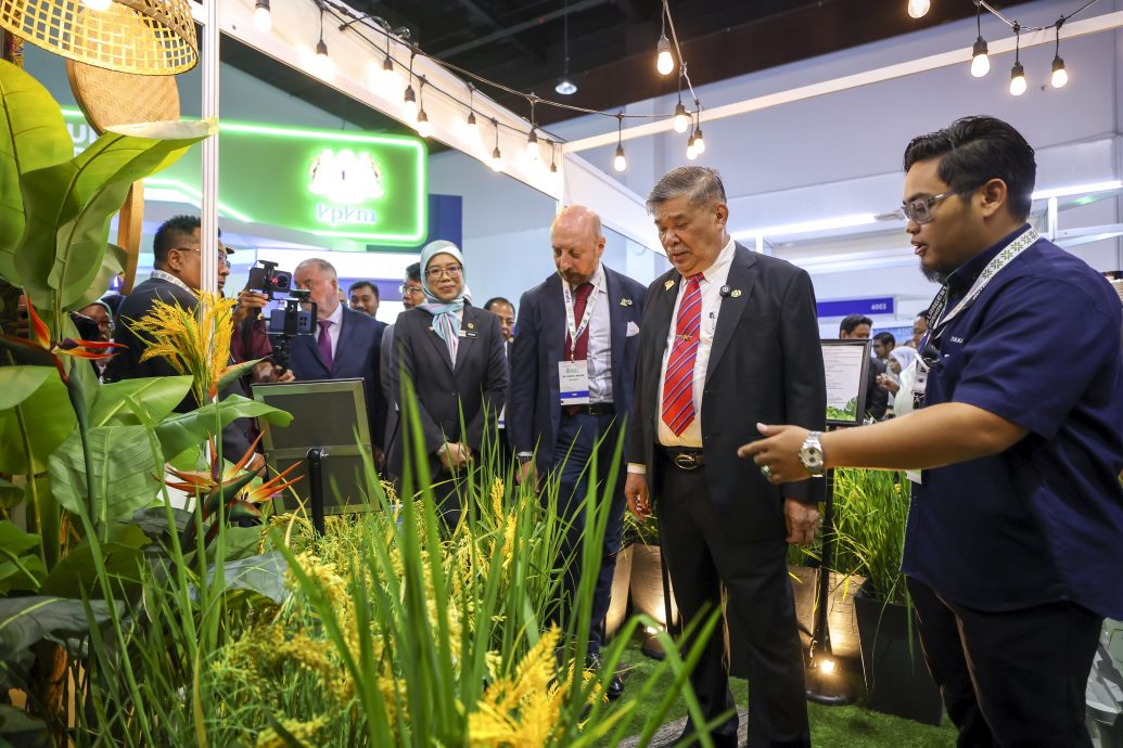 莫哈末沙布表示,灌溉必须被视为粮食安全、和平与繁荣的重要基础建设/艾瑾处理