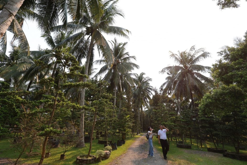 视频 | （已审）我们/马来高脚屋遇上华人菜园屋 椰林深处的多元共鸣