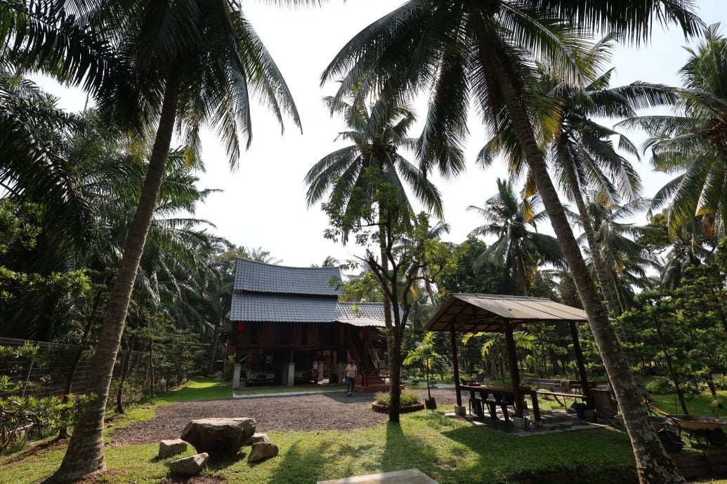 视频 | （已审）我们/马来高脚屋遇上华人菜园屋 椰林深处的多元共鸣
