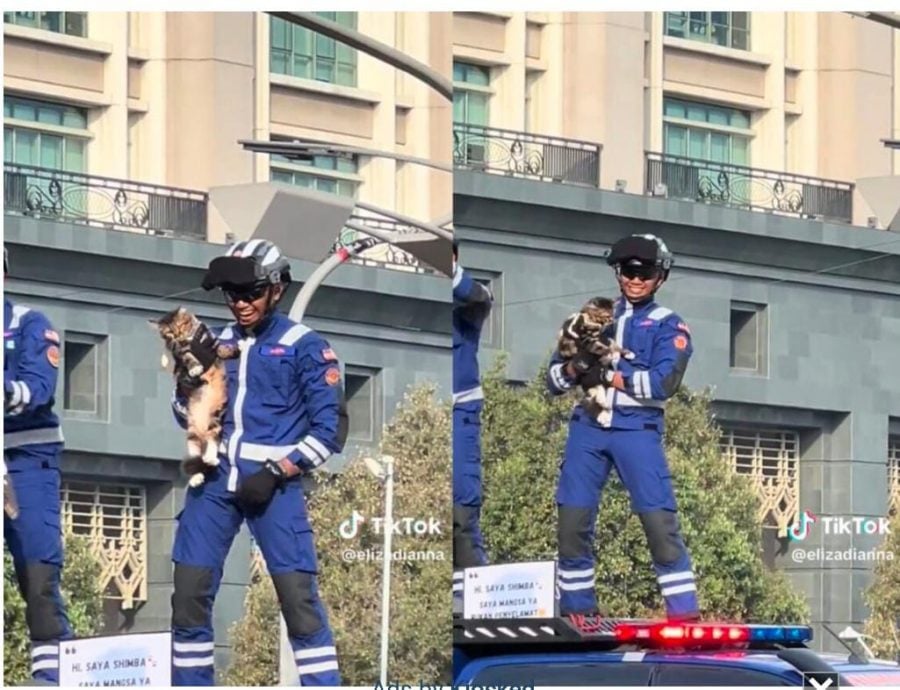 视频|“我不是拯救猫,我是获救的受害猫” 民防部队国庆游行秀猫抢镜