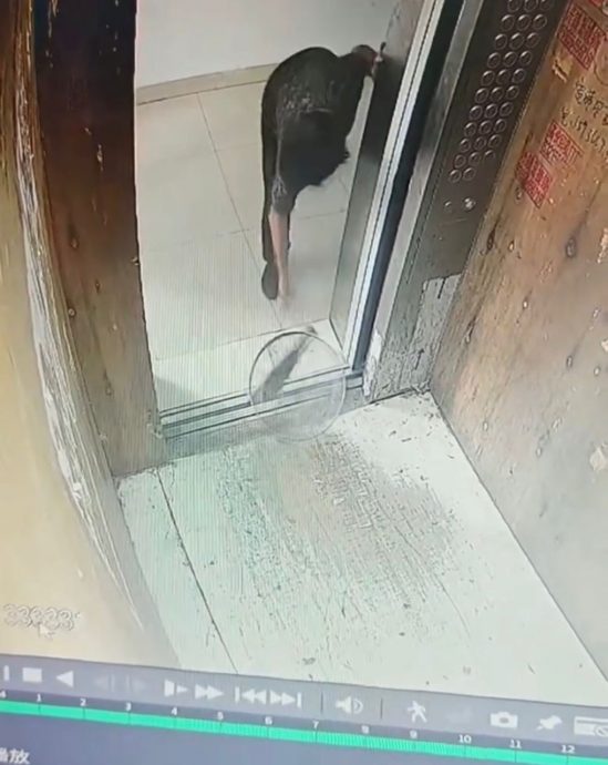 视频|大妈柴刀掉电梯缝隙 下秒电梯门整个崩坏