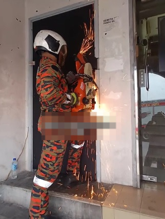 视频|猫咪被困废弃办公室1年 靠母女门缝投喂活了下来！