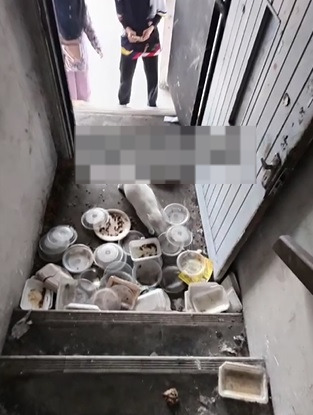 视频|猫咪被困废弃办公室1年 靠母女门缝投喂活了下来！