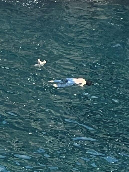 视频|用嘴紧咬头发救下坠海女 中籍残疾游客获赞真英雄!