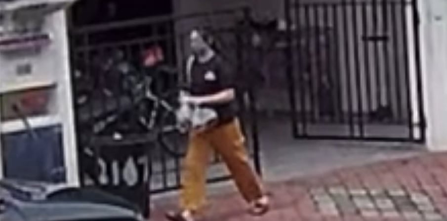 视频|金宝拉大宿舍有“外卖侠”? 她取餐落空看闭路电视揭真相