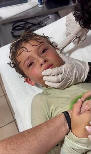 视频／男童耳朵不适  医生夹出一只活螃蟹  