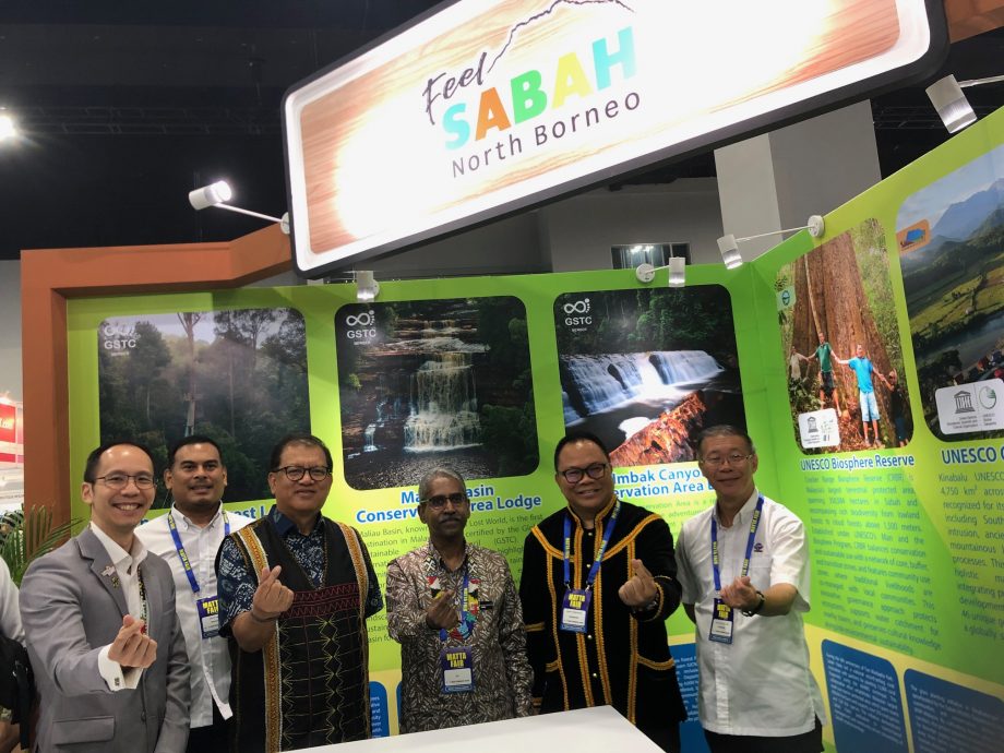 请交维振//市场情报下新闻版//MATTA