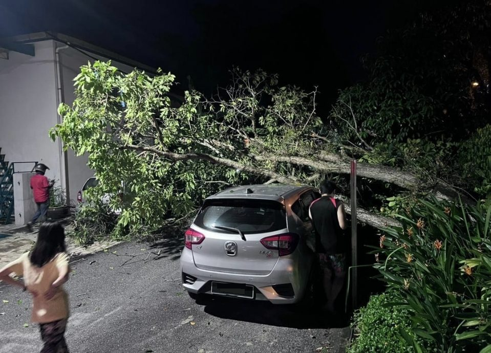 请签发-大都会/强风雨昨午袭加影,28地点发生树倒投报/2图