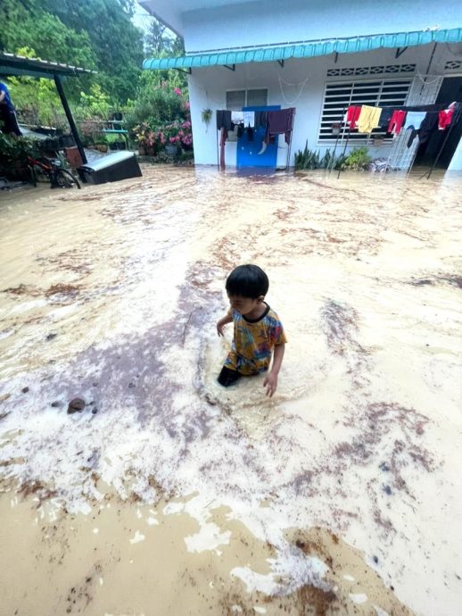 请签发/大都会(早报头)/乌冷10个甘榜及数个花园地区“沦陷”,逾200间屋子受影响