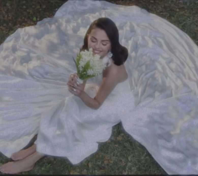 赛琳娜亲晒甜蜜婚照 百万保安团队严防隐私流出