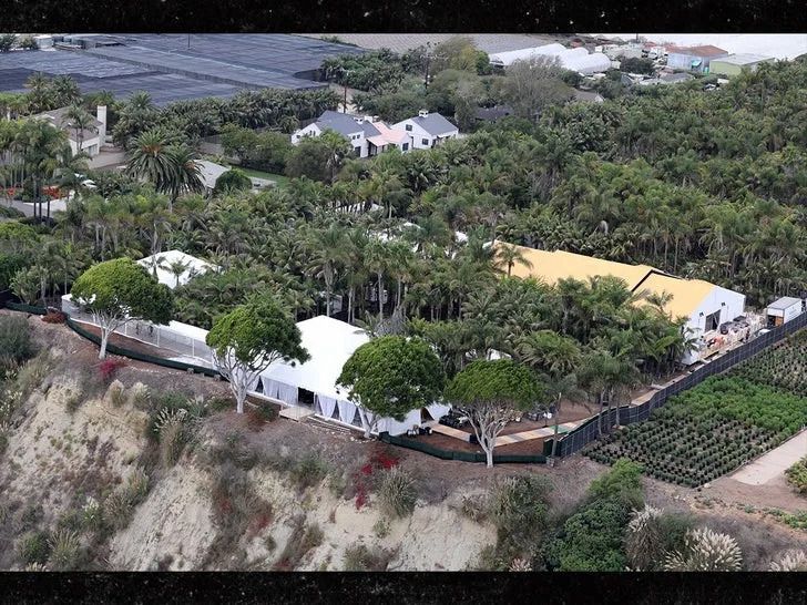 赛琳娜亲晒甜蜜婚照 百万保安团队严防隐私流出