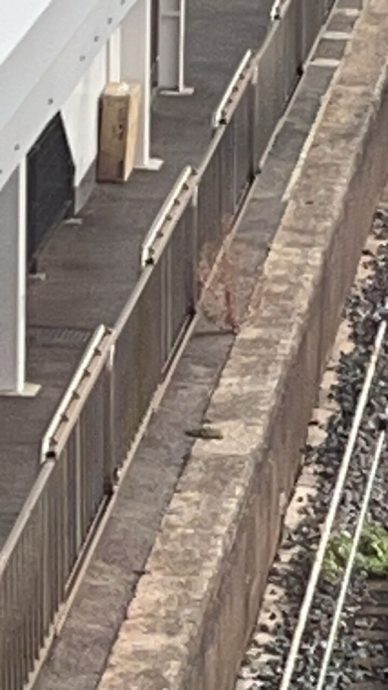 车站惊见可疑纸箱火车急停驶 打开发现“免治马桶”