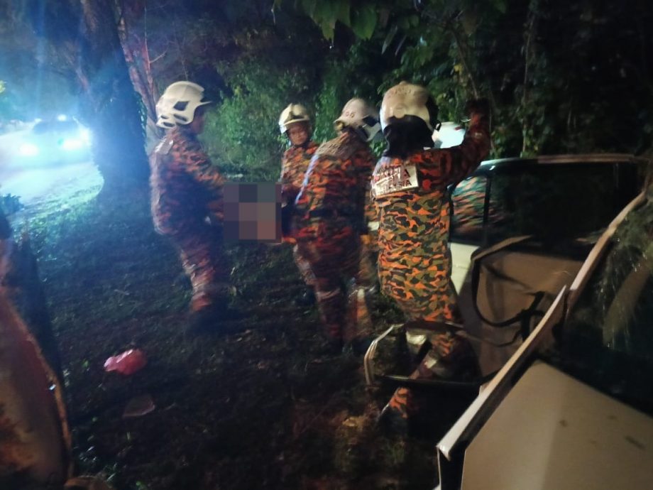 轿车凌晨撞树  30岁华裔司机头部受伤