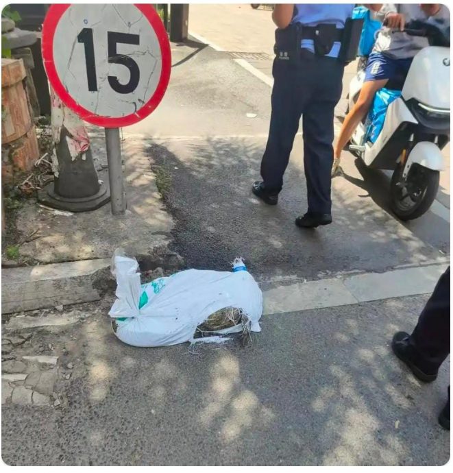 运送死鳄半途竟翻生 送货员最后报警处理