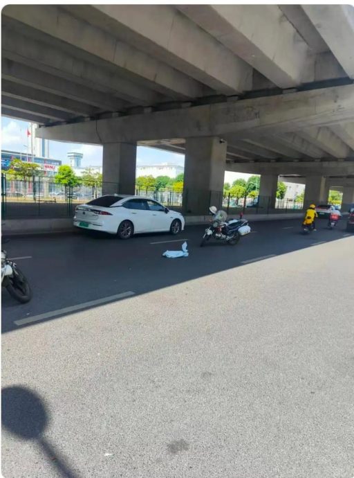 运送死鳄半途竟翻生 送货员最后报警处理