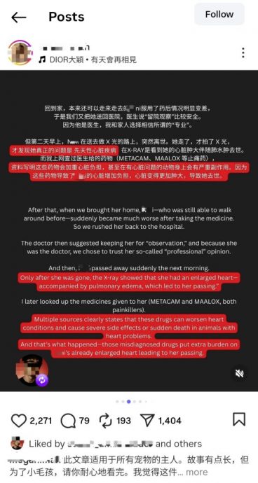 迪兰／公主的网上公审复仇记