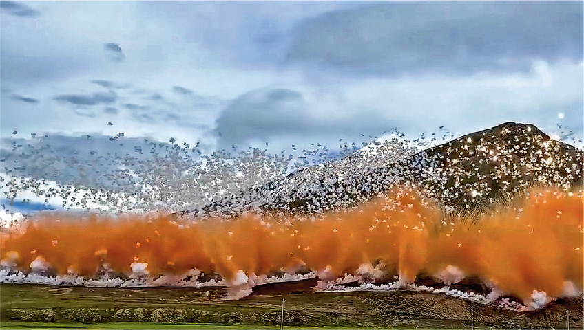 配拚盘)中国艺术家联手祖乌喜马拉雅山放烟花 引发争议