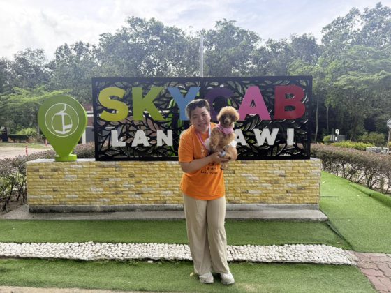 重生与新生：Ah Girl脱离繁殖场，喜迎新生命的诞生