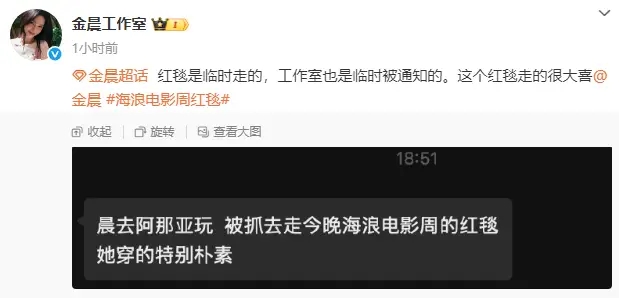 金晨红毯穿着朴素原因曝光 去阿那亚玩临时被抓去走红毯